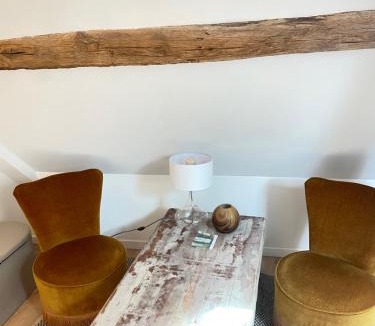 Chasnay Apartment | Villa Ô appartement