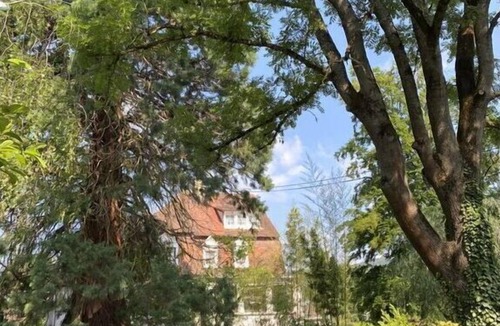 Wissembourg Villa | Villa 1907 Wissembourg