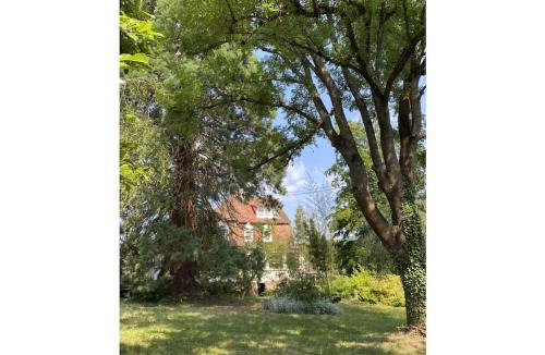 Wissembourg Villa | Villa 1907 Wissembourg