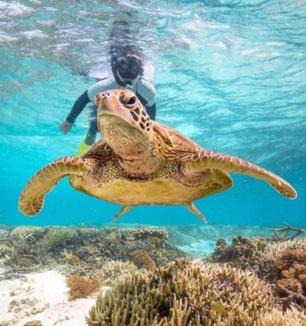 Coral Cove Apartment | Villa 24