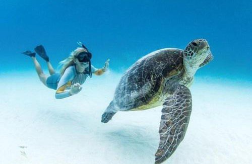 Coral Cove Apartment | Villa 24