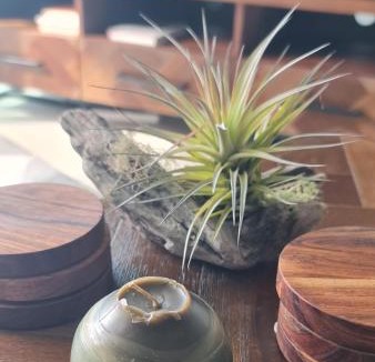 Cable Bay Villa | Villa 3 Luxe Coastal Escape