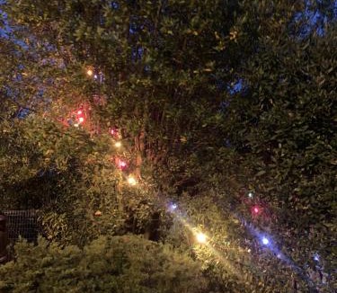 Villenave-d'Ornon Bed & Breakfast | Villa 37