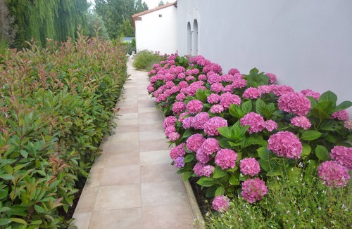 Argeles-sur-Mer Villa | Villa 400m2, 6 bedrooms, 10 min walk to the beach