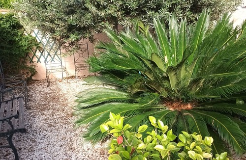 Le Boulou House | Villa 6 persons with private pool