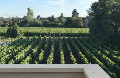 Ay House | VILLA 87 - AY CHAMPAGNE