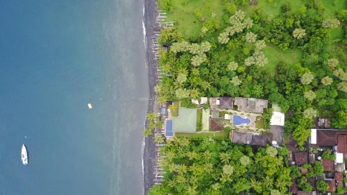 Kubu Hotel | Villa Alba Bali Dive Resort