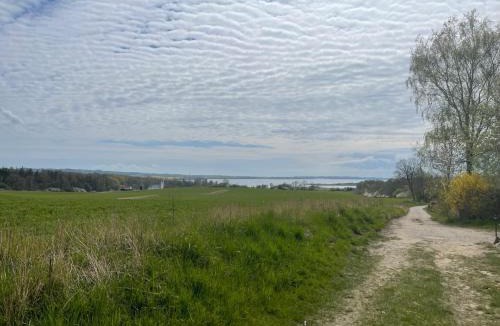 Ronde Bed & Breakfast | Villa Albeck