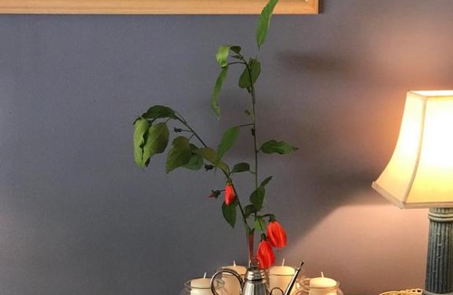 Eagle Heights House | Villa Alessandra Rooms & Restaurant