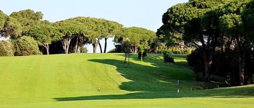 Le Dramont Apartment | Villa ALFONSA