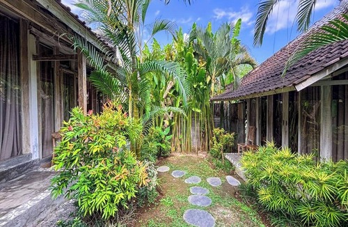 Munggu Villa | Villa Alisha Pererenan Canggu