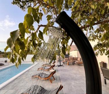 Benkovac Villa | Villa AM