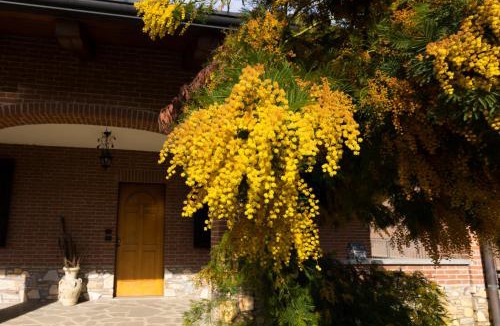Moncalieri Villa | Villa Anna