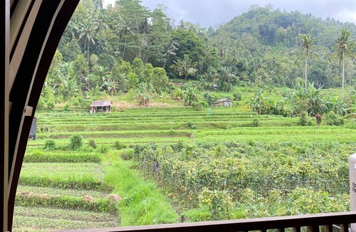 Wisma Kerta Villa | Villa Anteng