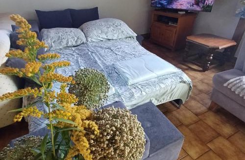 Bouveret Bed & Breakfast | Villa Aroleid