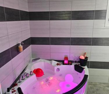 Cornebarrieu Apartment | Villa avec baignoire balnéo véranda & jardin