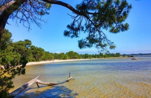 Sanguinet Villa | Villa avec Piscine Lac de Sanguinet