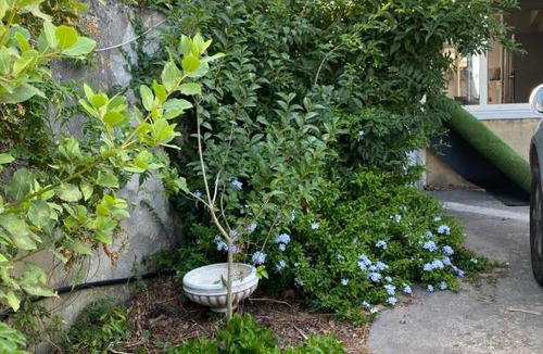 Avignon House | Villa beauséjour