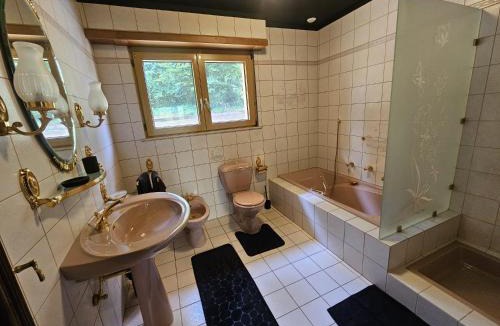 Wingen-sur-Moder House | Villa Bellevue - Chez Oma