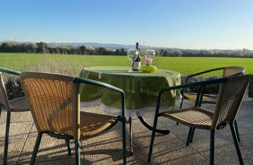 Bourgfelden Apartment | Villa Bellevue