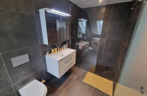 Saint-Legier-La Chiesaz House | Villa Bellevue - Montreux Heights