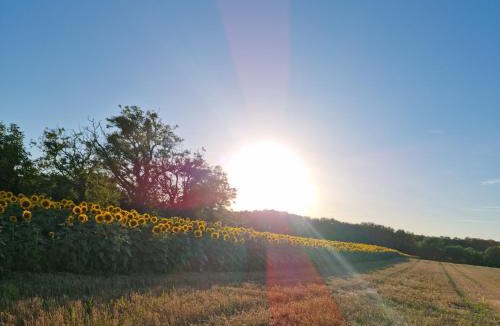 Medis Apartment | Villa BIANCA