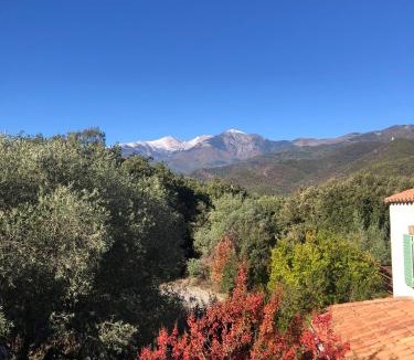 Arles-sur-Tech Bed & Breakfast | Villa Bonheur Vallespir
