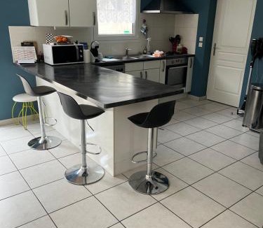 Andrezieux-Boutheon Villa | Villa calme le jasmin