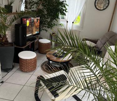 Andrezieux-Boutheon Villa | Villa calme le jasmin