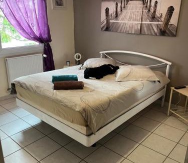 Andrezieux-Boutheon Villa | Villa calme le jasmin