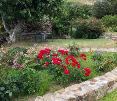 Galeria Bed & Breakfast | Villa Capraghjese