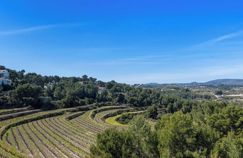 El Tesoro Villa | Villa Carolina Vineyards views & Relax