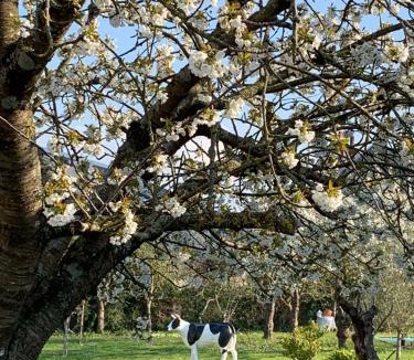 Dives-sur-Mer House | VILLA CATHY