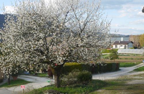 Aix-les-Bains Apartment | Villa Cathy T2