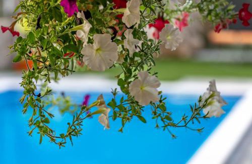 Konavle Villa | Villa Celtis - Mediterranean Reverie near Dubrovnik