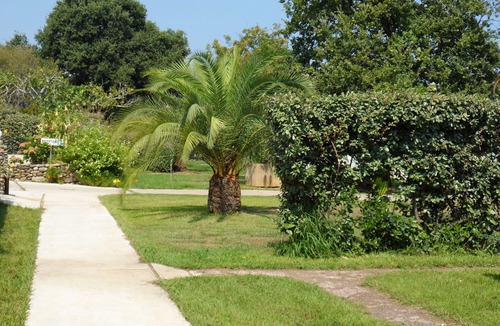 Moriani-Plage Villa | Villa Cigale 8 person