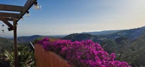 Canyelles Villa | Villa Contenta Canyelles - Gehele huis met prive zwembad