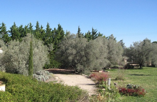 Serignan-du-Comtat House | villa, countryside, quiet, spacious (8 persons), secure swimming pool.