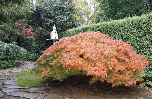 Mount Dandenong Villa | Villa d'Amour