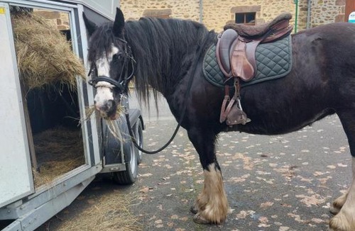 Souge-le-Ganelon House | Villa d Iska