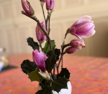 Dufau-Tourasse Bed & Breakfast | Villa Dampierre