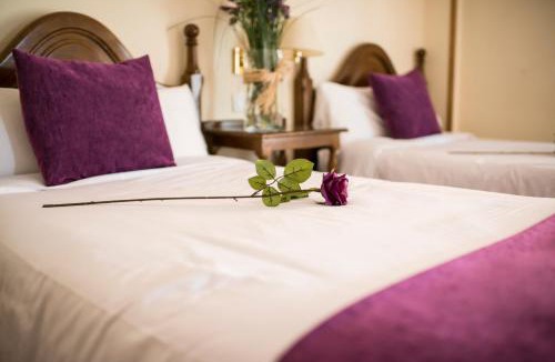 Elciego Hotel | Villa de Elciego