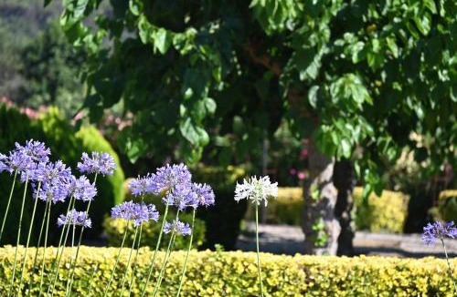 Tordera Villa | Villa de Gracia Casa 4