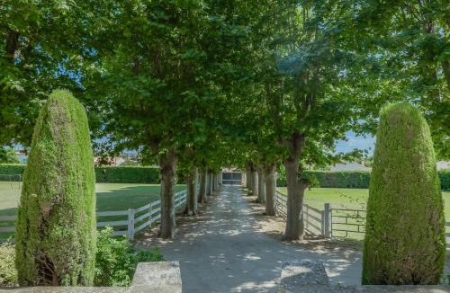 Saint-Victoret House | Villa de Maitre au sein d'un magnifique domaine