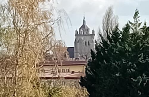 Dole House | Villa des écureuils