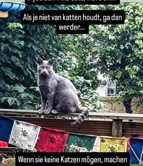 Gare House | Villa des Chats