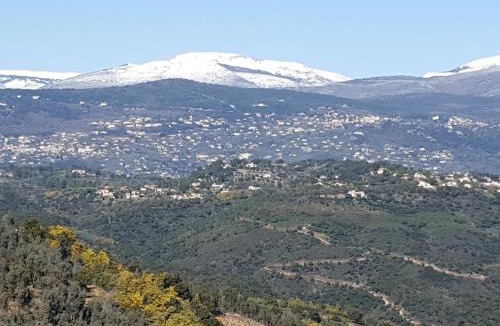 Le Tignet Bed & Breakfast | villa des oliviers