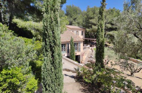 Ollioules Villa | Villa des Oliviers