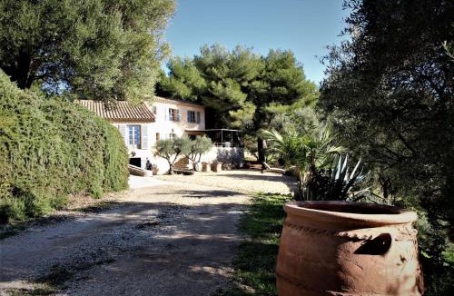 Ollioules Villa | Villa des Oliviers