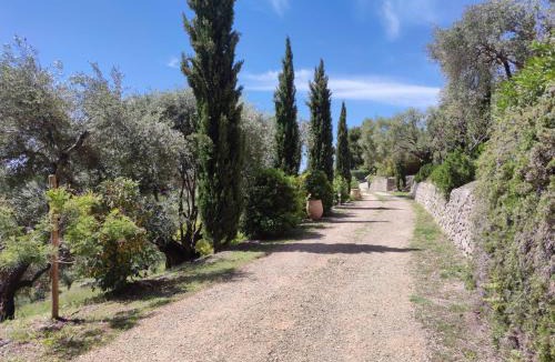 Ollioules Villa | Villa des Oliviers